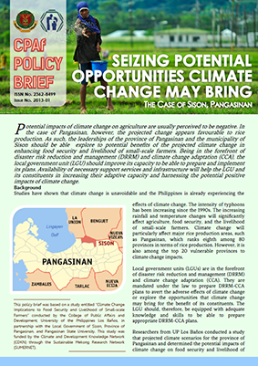 policy-brief-2013-01-res